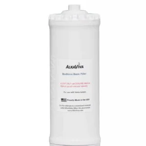 BioStone filter voor Vesta GL988 waterionisator